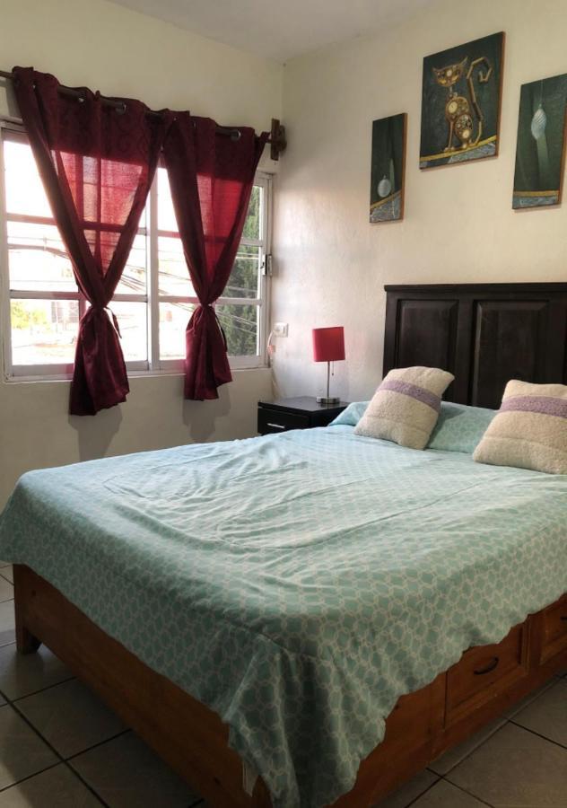 Apartamento Departamento Con Terraza Lobo Cholula Exterior foto